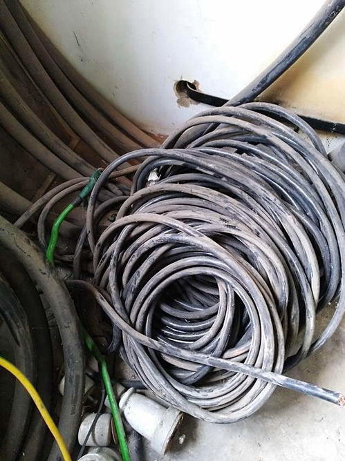 南京仙林大學城專業回收通信線纜與舊電纜 資源循環利用的綠色實踐