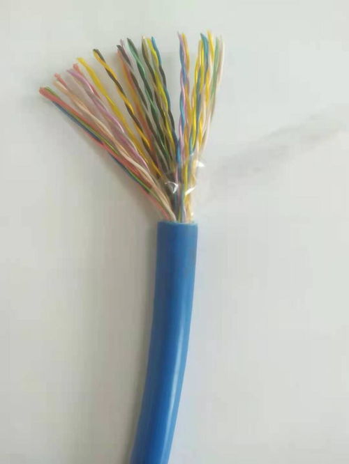 天聯牌WDZ-KNX 2×2×0.8綠色護套通信電纜 專為KNX智能樓宇系統打造的高性能線纜